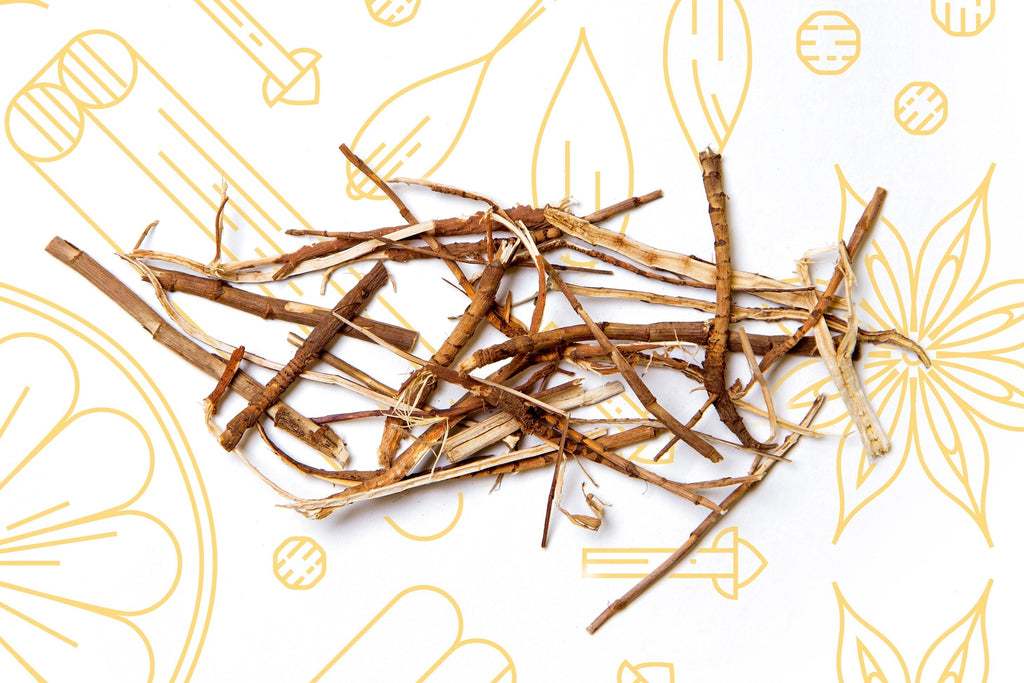 The Herb Series: Forsythia Fruit for Digestive Wellness