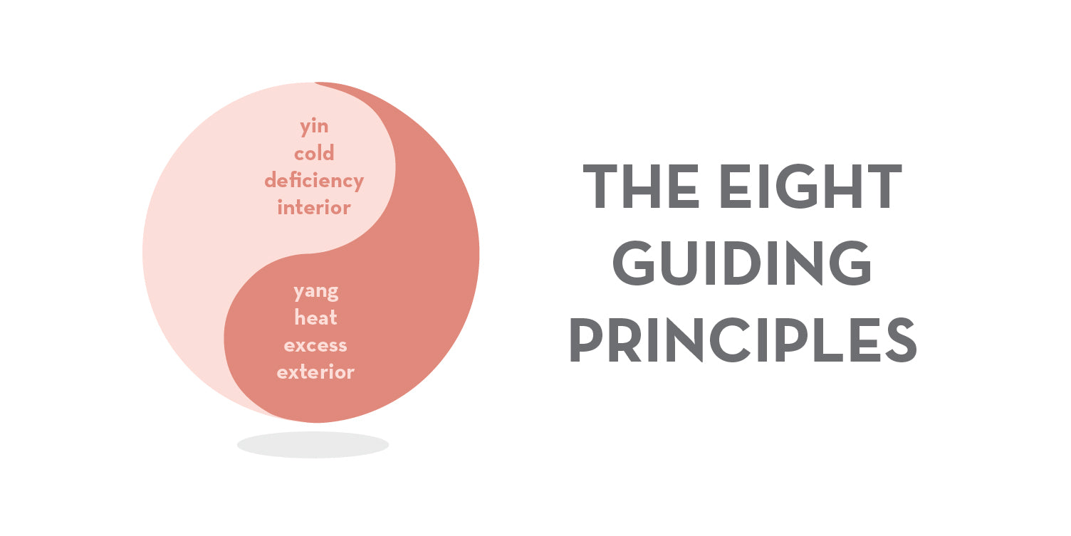 8 guiding principals chinese medicine