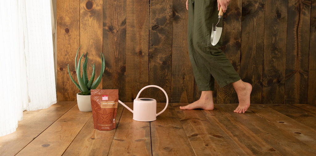 Du Huo Ji Sheng Tang: A Chinese Medicine Perspective on Joint Support