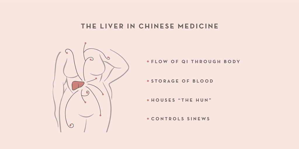 Understanding the Liver in Chinese Medicine