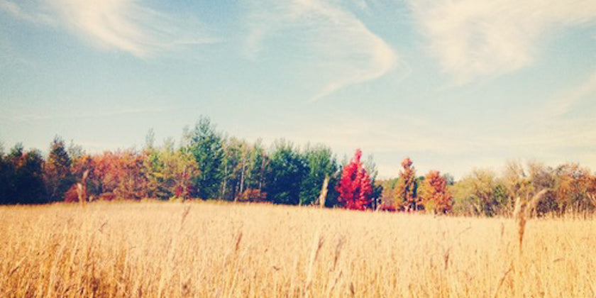 9 Chinese Medicine Inspired Self-Care Tips for Fall