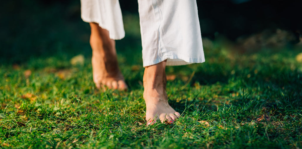 Mindful Herbalism: Incorporating the Best Chinese Herbs for Stress Support