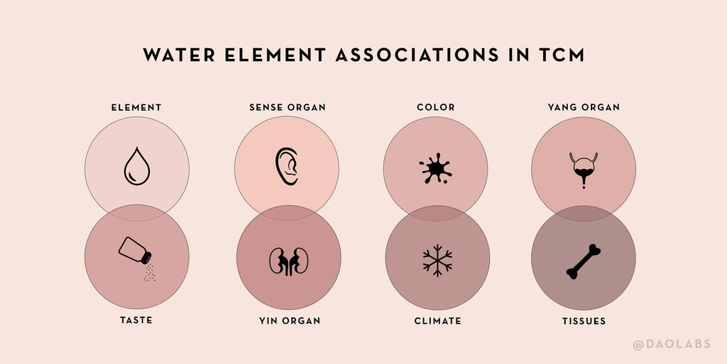 Why Rest Is So Important in the Winter: It's the Yin Part of the Year