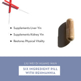 Six Ingredient Pill With Rehmannia