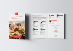 Herb 101: A Guide to Chinese Herbal Medicine