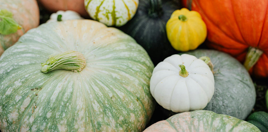 The Power of Pumpkin - A Fertility Superfood