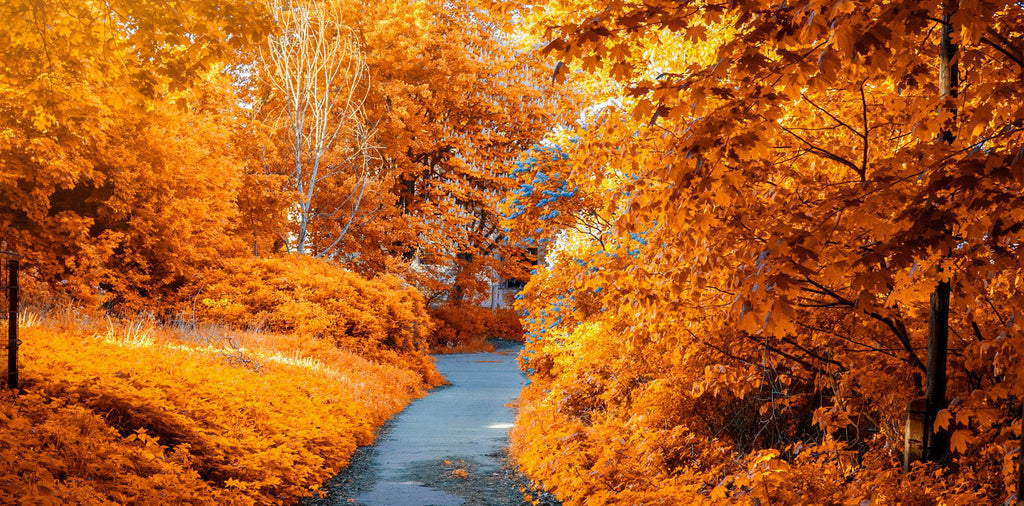 Preparing Your Body For Fall