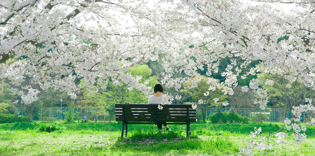 Hormones, Traditional Chinese Medicine, and Menstruation