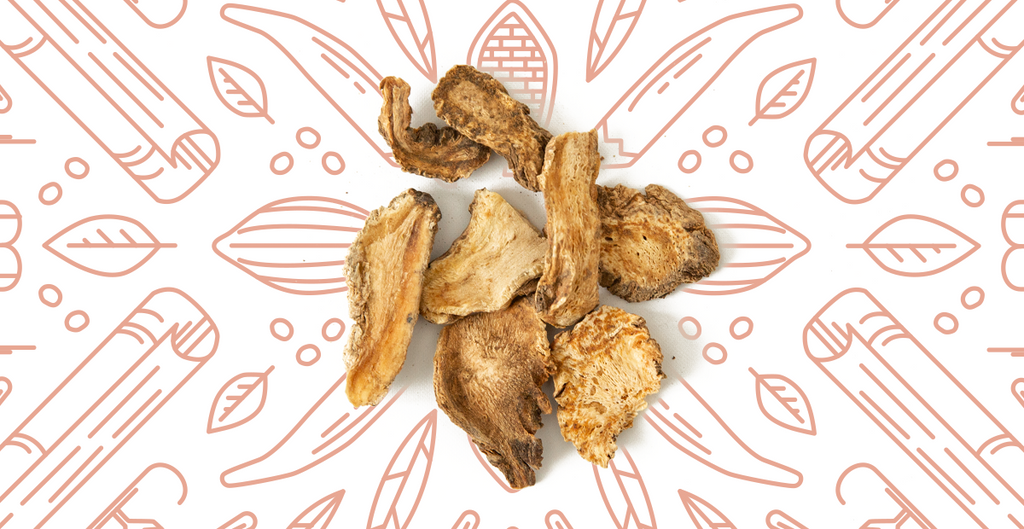 Chinese Medicine Insights into Du Huo (Radix Angelicae Pubescentis)