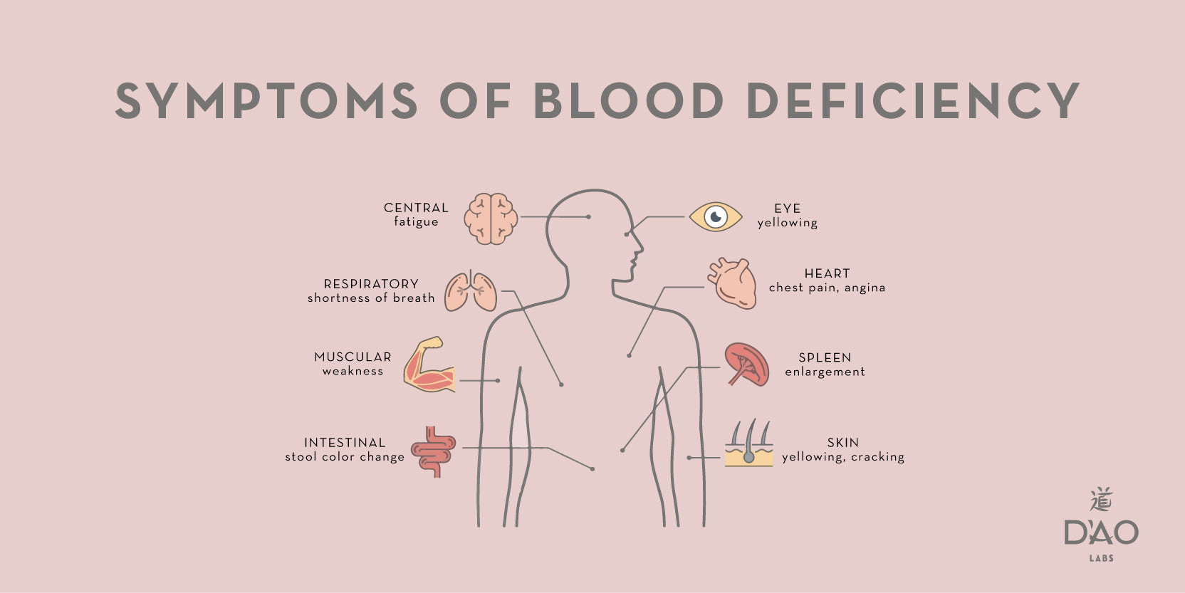 What Is Blood Deficiency?
