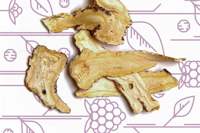 The Herb Series: Female Ginseng (Dang Gui)