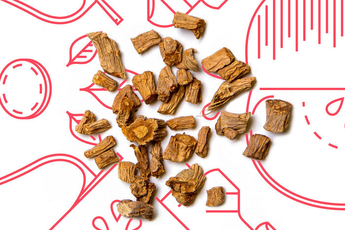 Exploring the Immunity Power of Fang Feng (Siler Root) in Chinese Medicine