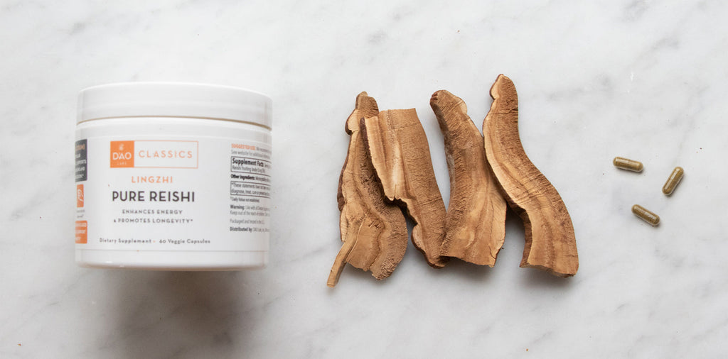 The Power and Mystery of Reishi
