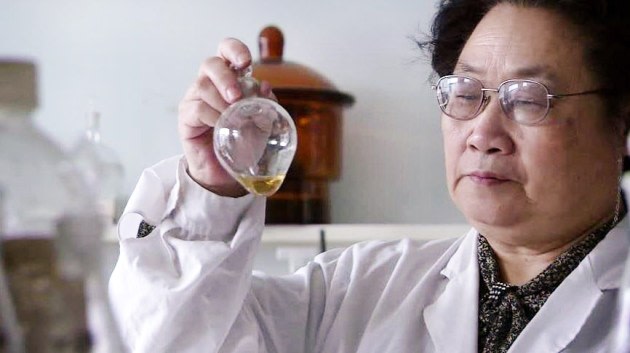 Nobel Laureate Tu Youyou Uses TCM to Treat Malaria