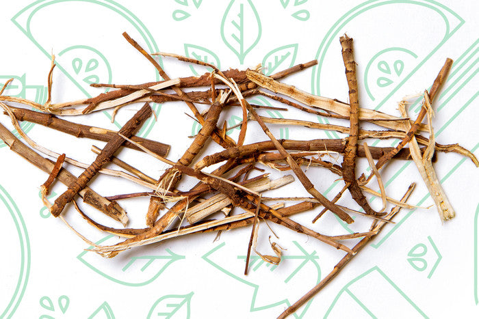 Thorowax Root (Chai Hu) is the Herb For Mental Stability & Tranquility