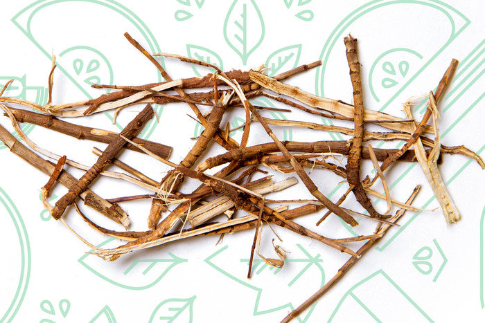 Thorowax Root (Chai Hu): A Traditional Herb for Supporting Mental Stability & Tranquility