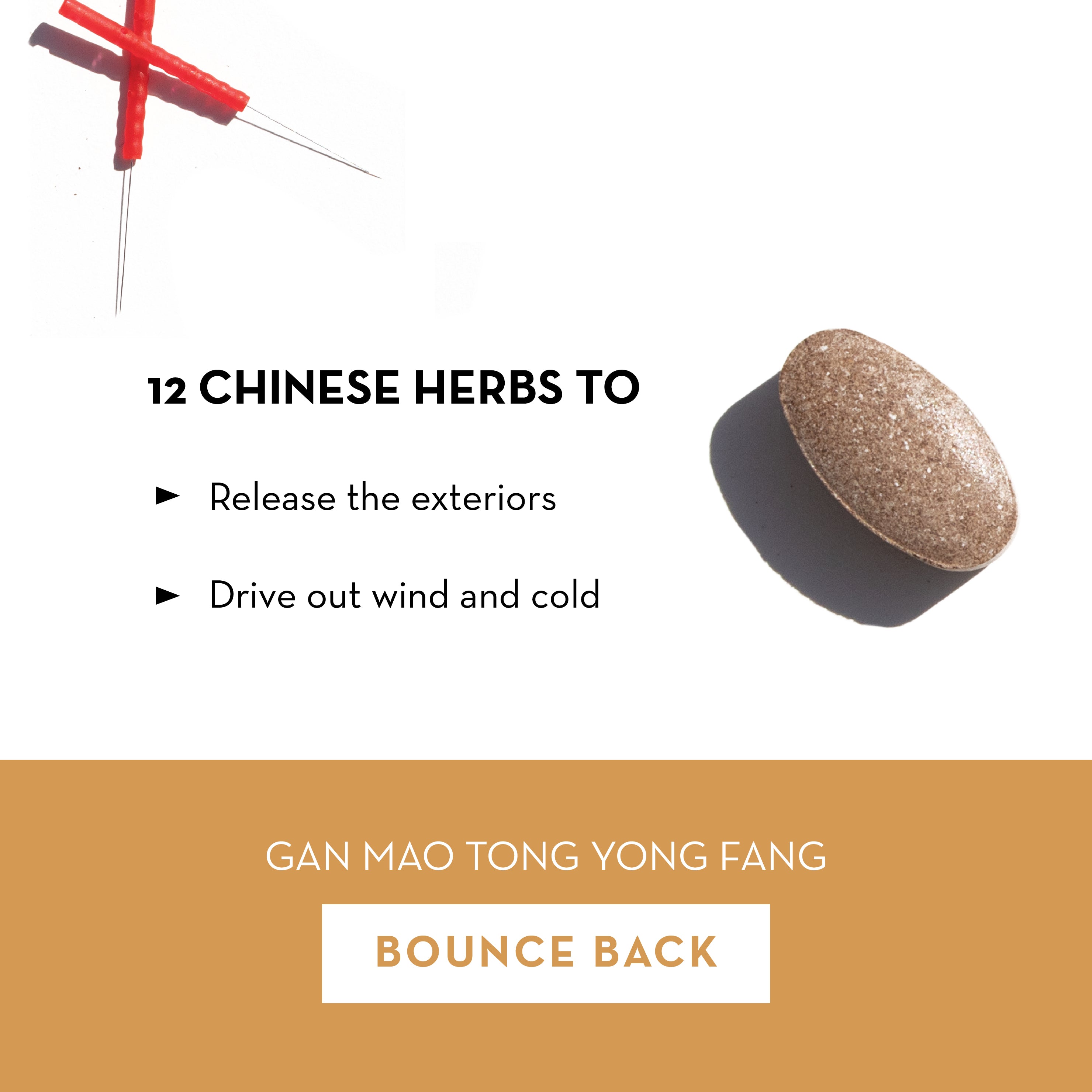 Bounce Back - Monthly Subscription