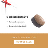 Bounce Back - Monthly Subscription