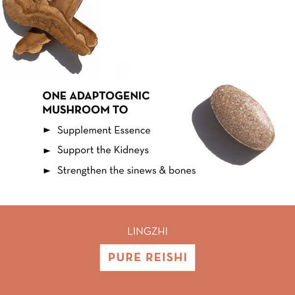 Pure Reishi - Monthly Subscription